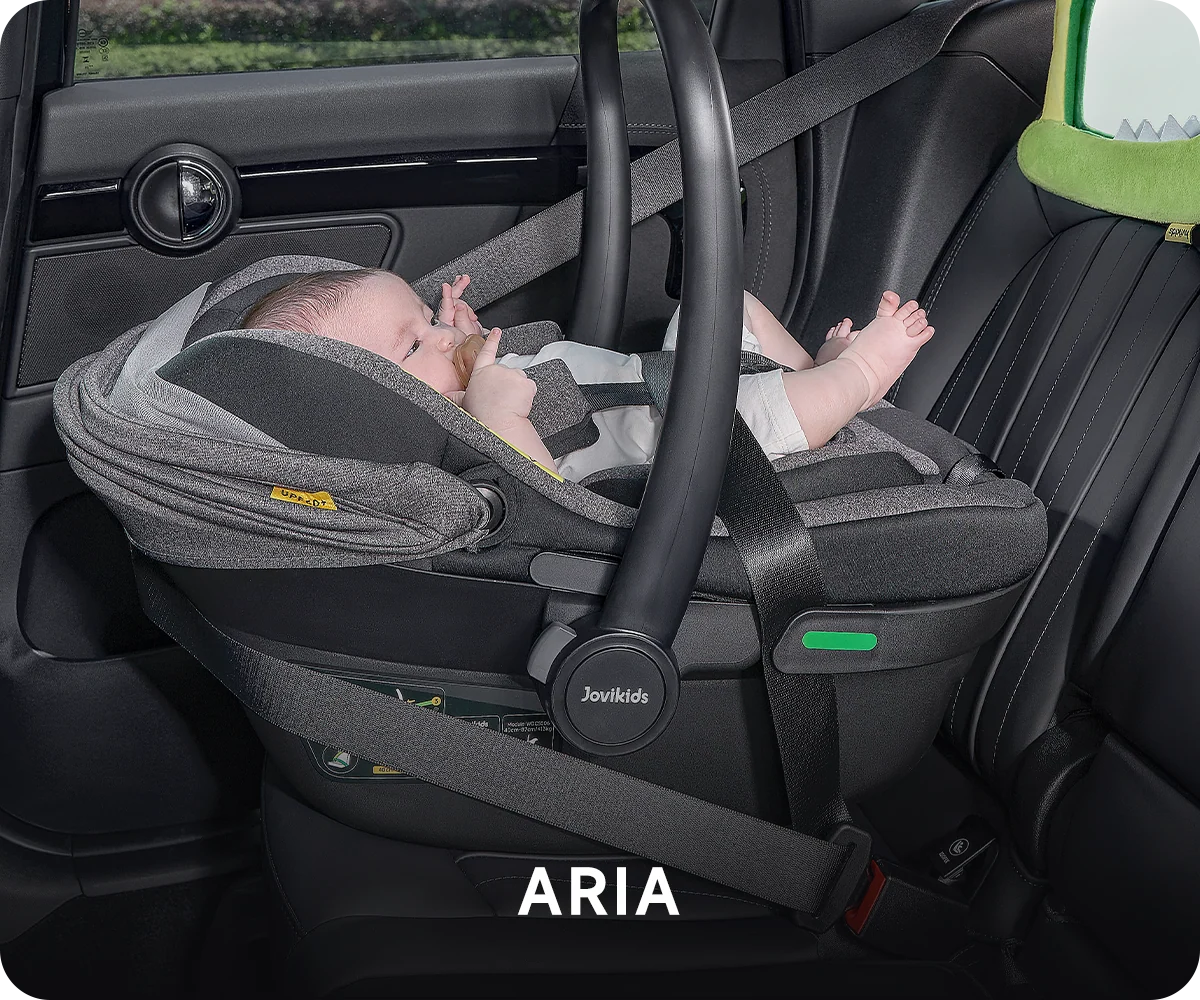 Aria